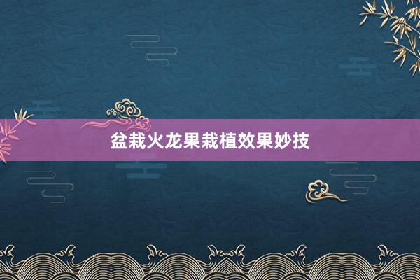 盆栽火龙果栽植效果妙技